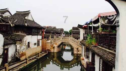 打假测评,没想到“网上卖的山东大馒头”是这样的,网友:太坑人!